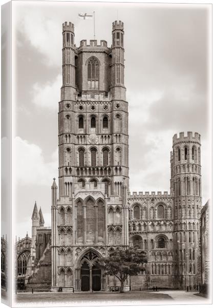 Ely Cathedral, Cambridgeshire, England, UK Canvas Print by Phil Lane