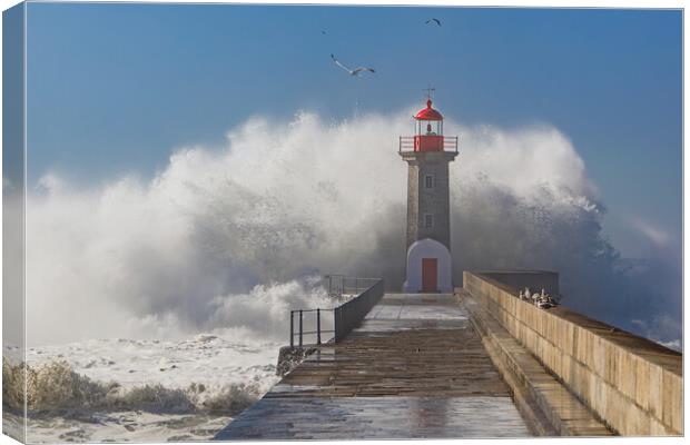 Storm waves over the Lighthouse Canvas Print by Olga Peddi