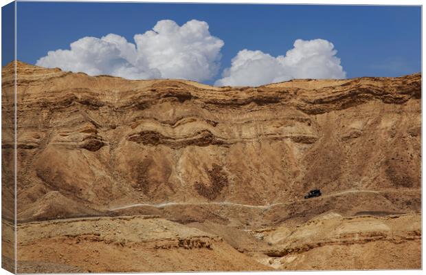 The Negev mountain desert view. Israel Canvas Print by Olga Peddi