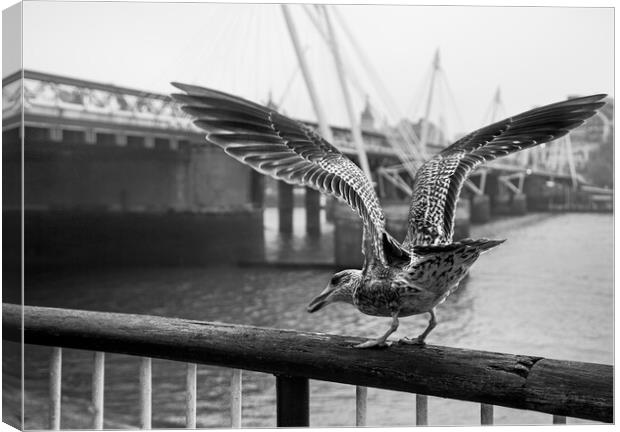 Seagull on London Bridge Canvas Print by Olga Peddi