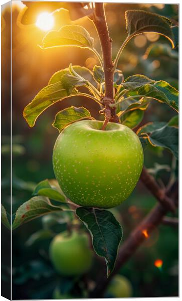 Green Apple Canvas Print by T2 