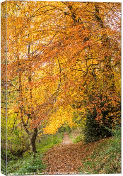 Autumn colours in Backhouse Park Canvas Print by Bryan Attewell