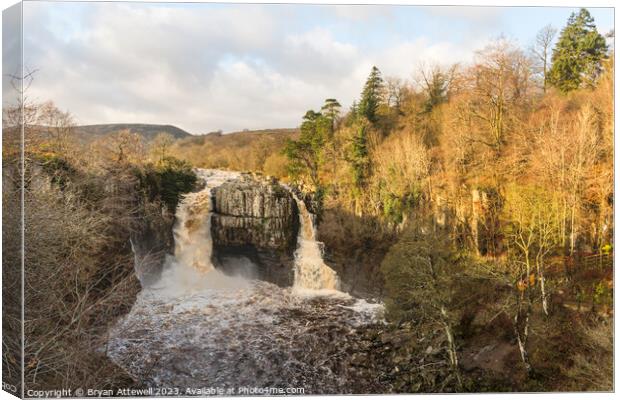 High Force waterfall Canvas Print by Bryan Attewell