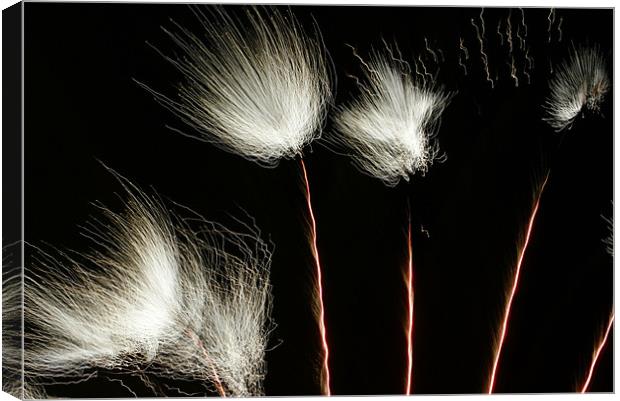 Fireworks Canvas Print by George Young