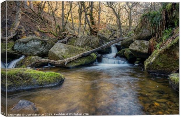 Burbage Brook through Padley Gorge Canvas Print by Darryl Bristow