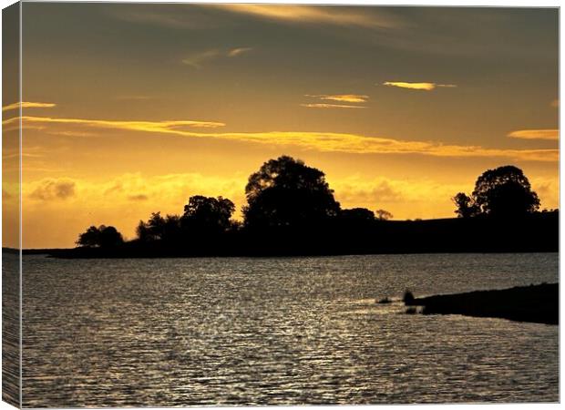 Sunrise in Staffordshire, Blithfield Reservoir  Canvas Print by Dorin Budeanu