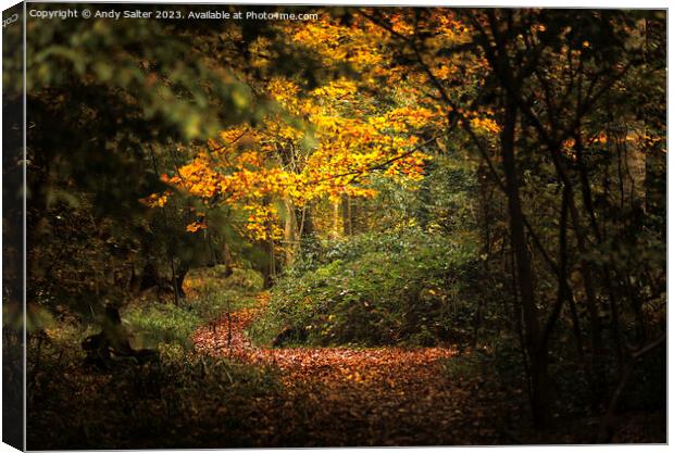 Autumn Walk at Hanningfield Reservoir Canvas Print by Andy Salter