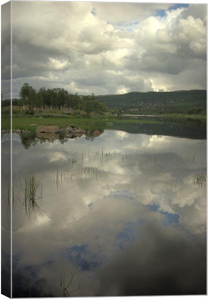 Reflecting on a lake  Canvas Print by Alan Pickersgill