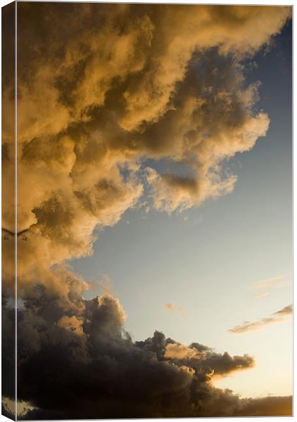 Cloudscape 2 Canvas Print by Alan Pickersgill