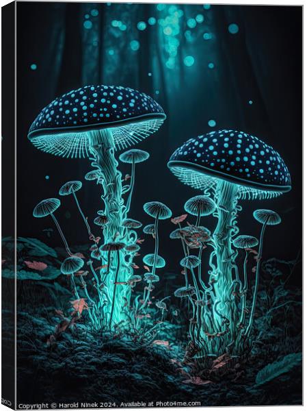 Radiant Fungi II Canvas Print by Harold Ninek