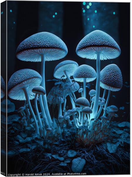 Radiant Fungi I Canvas Print by Harold Ninek