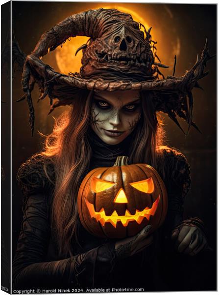 Halloween Witch Canvas Print by Harold Ninek