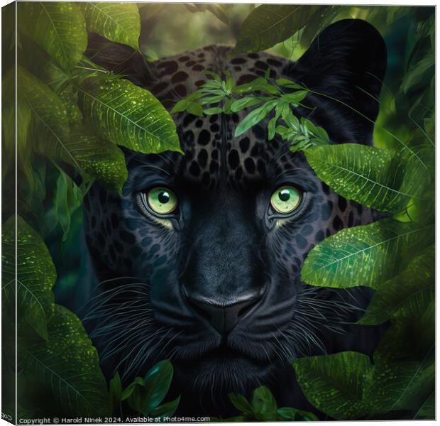 Black Panther Canvas Print by Harold Ninek
