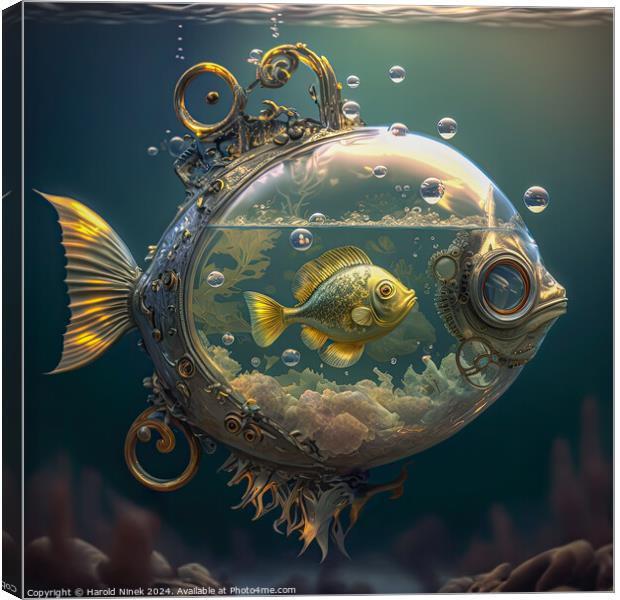 A Fish Within a Fish Canvas Print by Harold Ninek