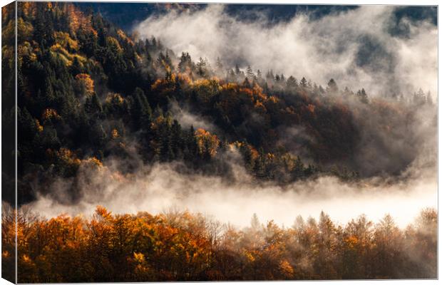 This is what autumn feels like in Slovenia Canvas Print by Suppakij Vorasriherun