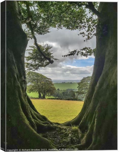 Enchanted Forest Devon Canvas Print by Richard Brookes