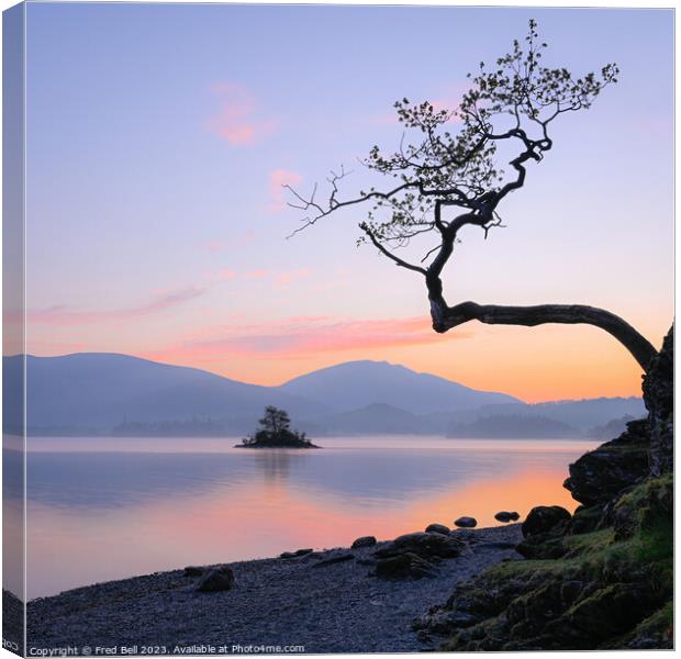 Dawn on Derwentwater Lake District Canvas Print by Fred Bell