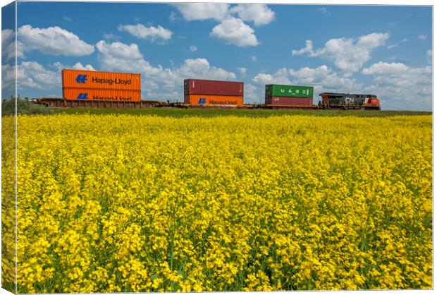 rail cars carrying containers passe a canola field Canvas Print by Dave Reede