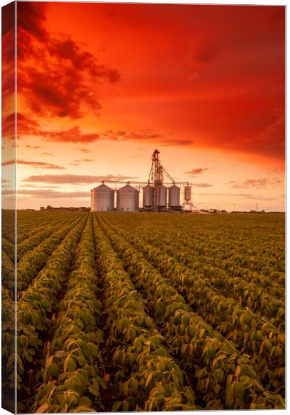 Sunset Over Farmland Canvas Print by Dave Reede