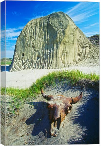 Big Muddy Badlands Canvas Print by Dave Reede