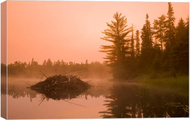 Beaver Lodge Canvas Print by Dave Reede