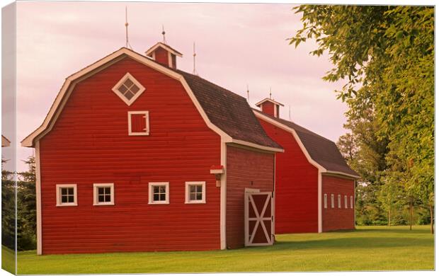 red barns Canvas Print by Dave Reede