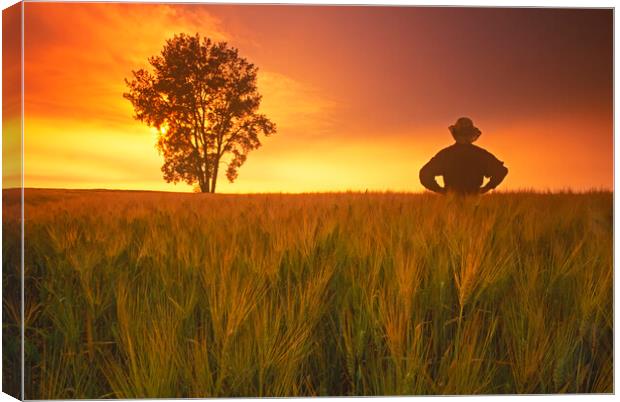 a farmer looks out over his  barley crop with cottonwood tree in the background Canvas Print by Dave Reede