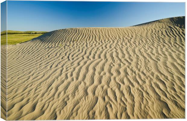 the Great Sandhills Canvas Print by Dave Reede