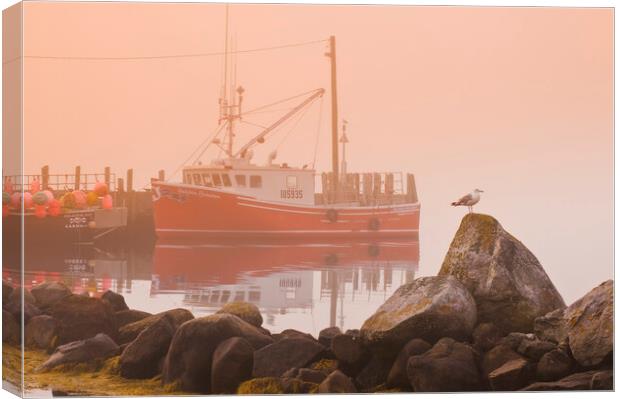 Waiting For the Fog to Clear Canvas Print by Dave Reede