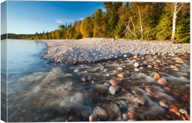 Along Lake Superior Canvas Print by Dave Reede