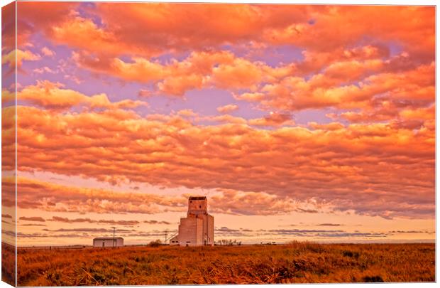 sunset over old grain elevator Canvas Print by Dave Reede