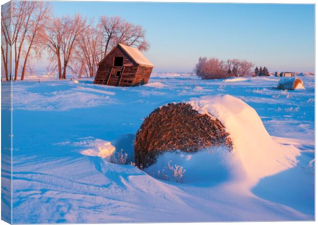 snow drifts, old grain bins with alfalfa bale in the foreground Canvas Print by Dave Reede