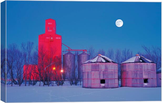 old grain bins on a farm next to a grain elevator Canvas Print by Dave Reede