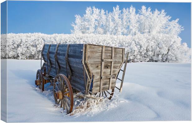 Wagon on a frosty day Canvas Print by Dave Reede