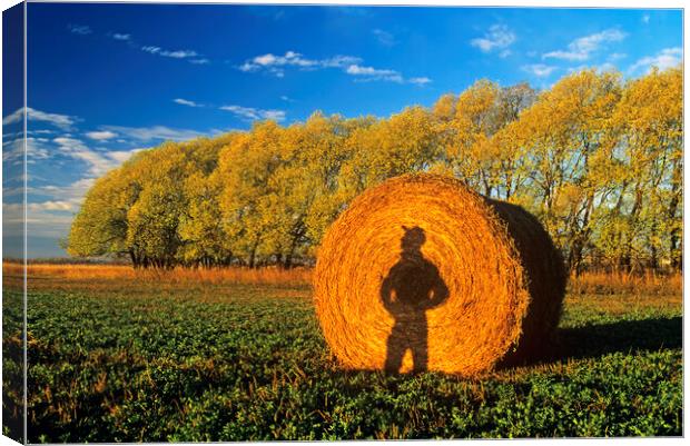 a shadow of a farmer  looking out over his alfalfa field Canvas Print by Dave Reede