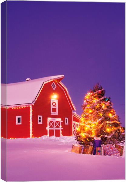 Rural Christmas Canvas Print by Dave Reede