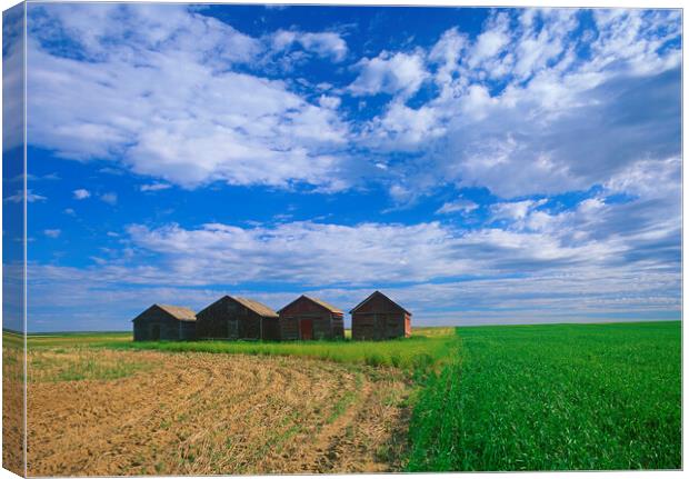 abandoned grain bins in  field Canvas Print by Dave Reede