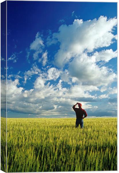 a man looks out over a barley field and sky with clouds Canvas Print by Dave Reede