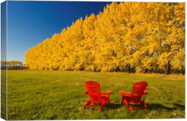 two chairs at the edge of a hay field  Canvas Print by Dave Reede