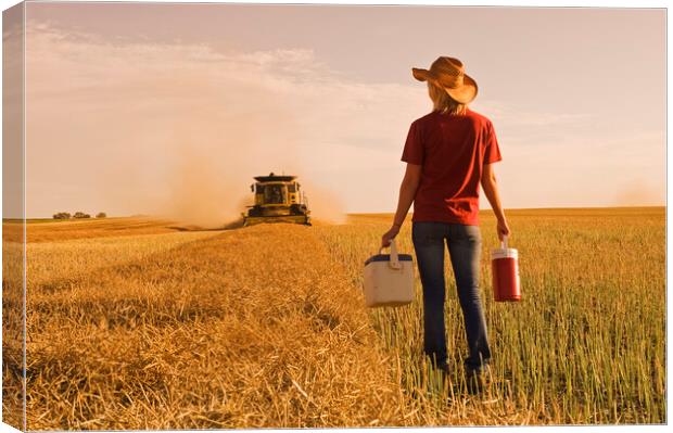 farm girl brings supper to a combine operator  Canvas Print by Dave Reede