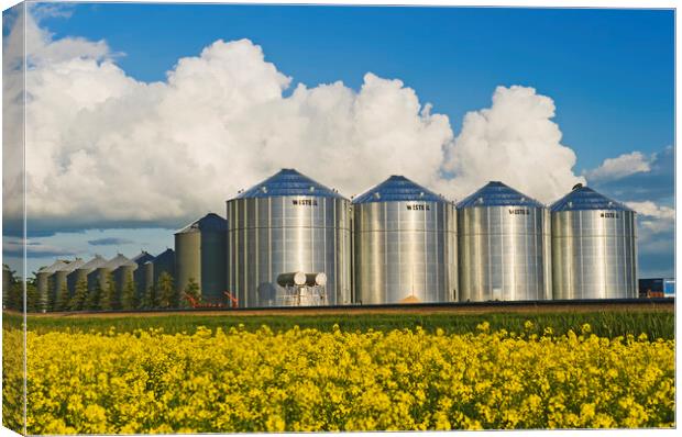 bloom stage canola with grain bins Canvas Print by Dave Reede