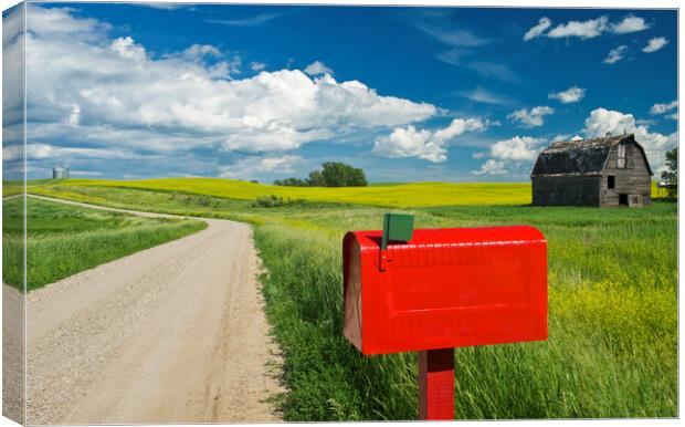 mailbox along country road Canvas Print by Dave Reede