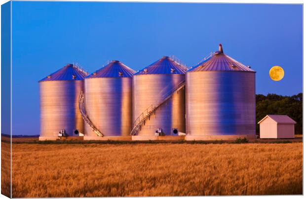 field of mature wheat/new grain bins Canvas Print by Dave Reede