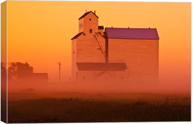 grain elevator in early morning mist Canvas Print by Dave Reede