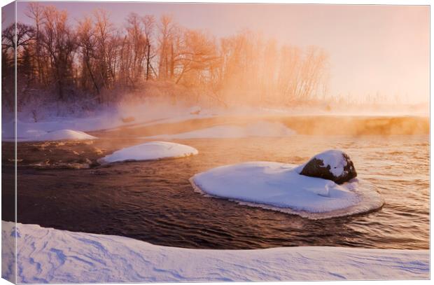 winter along the Whiteshell River Canvas Print by Dave Reede