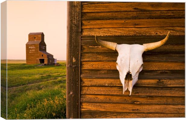 Hanging Out in a Ghost Town Canvas Print by Dave Reede