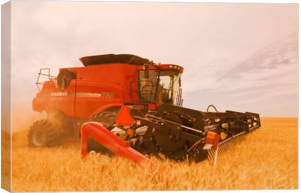 a combine harvests durum wheat  Canvas Print by Dave Reede