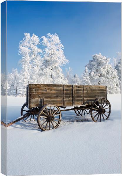 old wagon, hoarfrost on trees Canvas Print by Dave Reede
