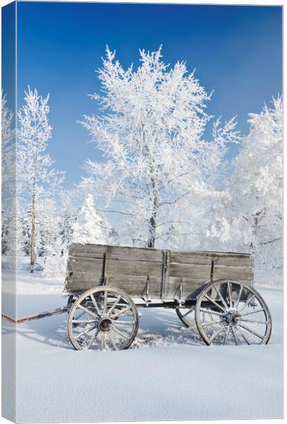 Wagon in the Hoarfrost Canvas Print by Dave Reede