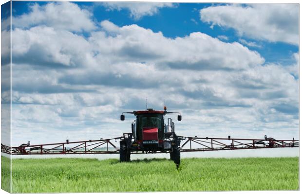 a high clearance sprayer gives a chemical application to wheat Canvas Print by Dave Reede